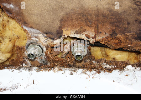 Schimmel auf defekte Wasserleitung Stockfoto