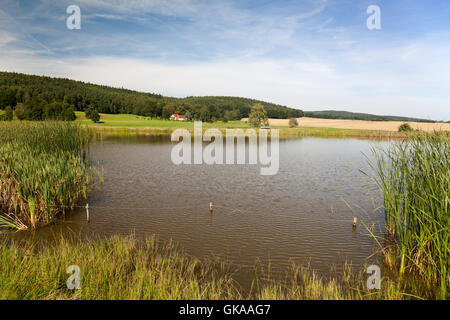 idyllischer See in Thüringen Stockfoto