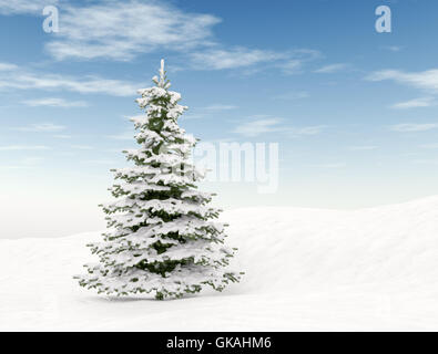 Baum Winterschnee Stockfoto