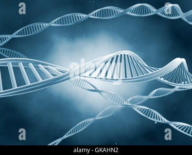 medizinisch medizinische Gesundheit Stockfoto