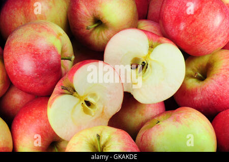 Kernobst Obst Äpfel Stockfoto