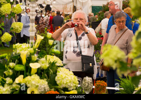 Eine Frau, die ein Bild der Blume zeigt bei Shrewsbury Flower Show, Shropshire, England, UK Stockfoto