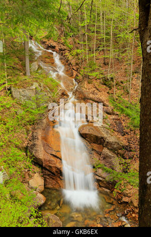 Liberty Schlucht Kaskade, Franconia Notch State Park, Franconia Notch, New Hampshire, USA Stockfoto