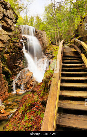 Die Schlucht bei der Flume, Franconia Notch State Park, Franconia Notch, New Hampshire, USA Stockfoto