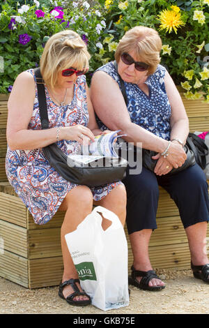 Versierte Käufer, Southport, Merseyside, England. 21. August 2016: wie das gute Wetter über der Southport Flower Show kehrt zurück Stockfoto