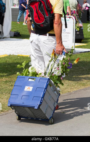 Versierte Käufer, Southport, Merseyside, England. 21. August 2016: wie das gute Wetter über der Southport Flower Show kehrt zurück Stockfoto