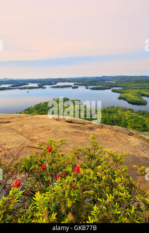 Gipfel, Old Bridle Path Trail, Klapperschlange Westbergen Squam Lake, Holderness, Hew Hampshire, USA Stockfoto