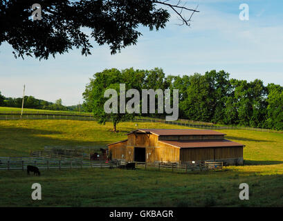 Virginia Creeper Weg, Abingdon, Virginia, USA Stockfoto