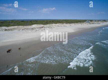 Luftaufnahmen von wilden Pferden am Strand von North Carolina Stockfoto