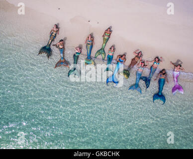 Meerjungfrauen aufgereiht am Rand Wassers von einem Strand, Exuma Cays, Highbourne Cay, Bahamas-Inseln Stockfoto