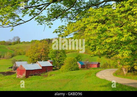 Jenne Farm im Frühjahr, South Woodstock, Vermont Stockfoto