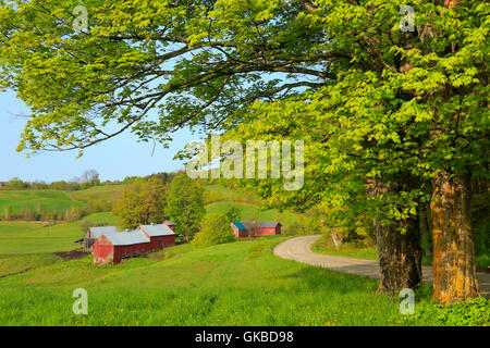 Jenne Farm im Frühjahr, South Woodstock, Vermont Stockfoto