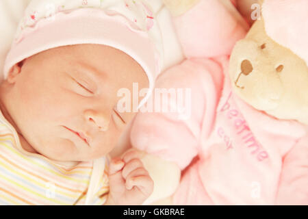 Porträt-Baby Bär Stockfoto