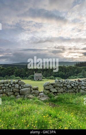 Traditionelle Heu Wildblumenwiese und Scheune, Holwick, obere Teesdale, County Durham, Großbritannien Stockfoto