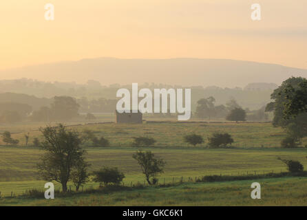 Eine verlassenes Feld Scheune im Aire Valley in der Nähe von Gargrave in North Yorkshire wird von den ersten Strahlen der Sonne gebadet. England-UK Stockfoto