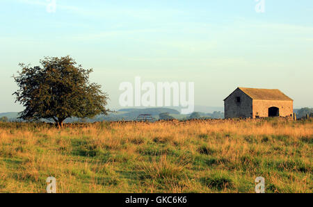 Eine verlassene Scheune im Aire Valley in der Nähe von Gargrave in North Yorkshire ist in den ersten Strahlen der Sonne gebadet. Stockfoto