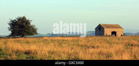 Eine verlassene Scheune im Aire Valley in der Nähe von Gargrave in North Yorkshire ist in den ersten Strahlen der Sonne gebadet. Stockfoto