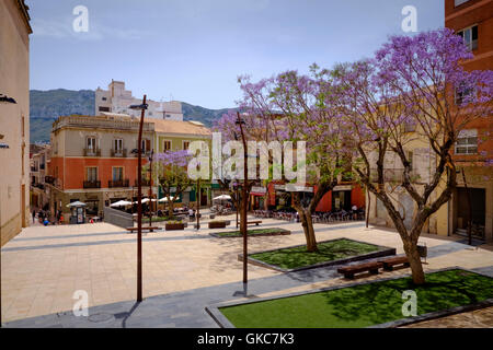 Constitucion Ort Denia Spanien mit Jacaranda-Bäume in Blüte Stockfoto