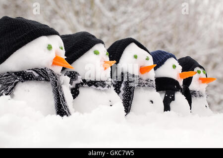 Winterschnee Stockfoto