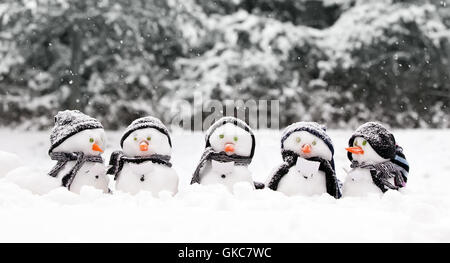 Winterschnee Stockfoto