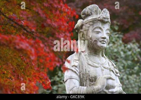 Orange & rote Laubbäume in Kencho-Ji-Tempel in Kamakura mit einer weißen Stein buddhistischen Statue hinter dem Baum stehen im Gebet Stockfoto