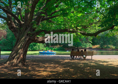 London Sommer Park, Ansicht der Rückseite der Touristen sitzen auf einer Bank, die Menschen nehmen ein Tretboot fahren auf dem See zum Bootfahren im Regent's Park, London, UK. Stockfoto