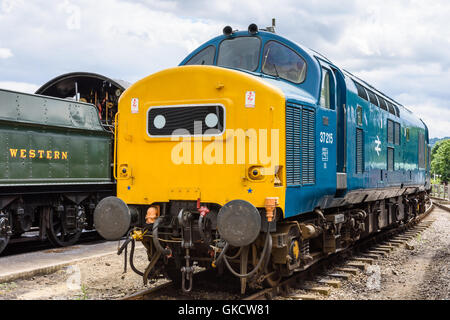 Der Growler Gruppen Klasse 37 37215 auf die Diesel-Depot an Toddington auf die GWSR Stockfoto