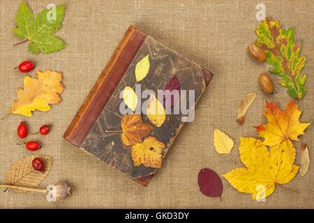 Trockene Blätter und alte Buch auf hölzernen Hintergrund. Herbst Romantik. Das Buch der romantischen Geschichten. Stockfoto
