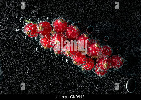 Johannisbeer-Beere in Mineralwasser, eine Reihe von Fotos. Close-up kohlensäurehaltiges Wasser vor schwarzem Hintergrund Stockfoto