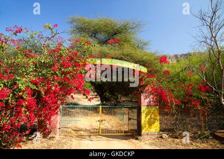 Kleinen Eingangstor, Ranthambore Nationalpark, Rajasthan, Indien, Asien Stockfoto