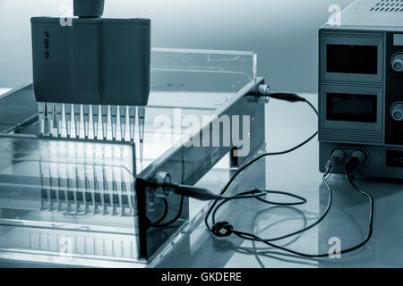 DNA-Probe in Elektrophorese-Gerät zu laden Stockfoto
