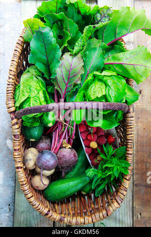 Korb mit frisch gepflückten Gemüse Stockfoto