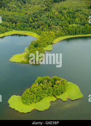 Luftaufnahme, Lehmwerder und Ehmkewerder, Stadt-See mit Halbinseln, See Krakau, Krakow am See, Mecklenburgische Seenplatte, Stockfoto