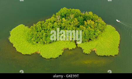 Luftaufnahme, Lehmwerder und Ehmkewerder, Stadt-See mit Halbinseln, See Krakau, Krakow am See, Mecklenburgische Seenplatte, Stockfoto