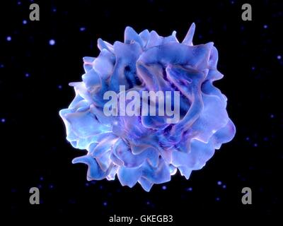 Computer-Darstellung der dendritischen Zellen. Dendritische Zellen sind Bestandteil des körpereigenen Immunsystems. Sie sind Antigen-präsentierenden Zellen (APCs), das heißt, sie stellen Krankheitserreger oder fremde Moleküle (Antigene) auf andere Zellen des Immunsystems beseitigt werden. Stockfoto