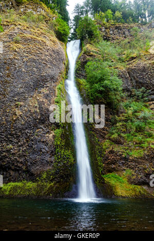 Die 176 Fuß hoch Schachtelhalm Falls sitzt entlang der Interstate 84 und historische US 30 entlang des Columbia-Flusses im nördlichen Oregon Stockfoto