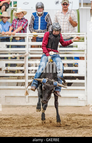 Junge Cowgirl Reiten ein kleiner Elefant im Junior Steuern Reiten Wettbewerb, Chaffee County Fair & Rodeo, Salida, Colorado, USA Stockfoto