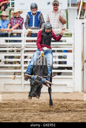 Junge Cowgirl Reiten ein kleiner Elefant im Junior Steuern Reiten Wettbewerb, Chaffee County Fair & Rodeo, Salida, Colorado, USA Stockfoto