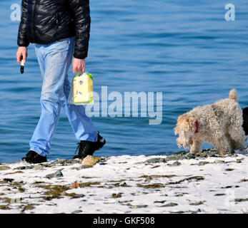 Hund ist ein Mann, der am Ufer Meeres ernähren will Stockfoto