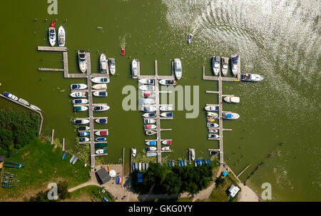 Luftaufnahme, Hütten an den Banken, Jabelscher See, Stegen, grünes Wasser, Jabel, Mecklenburgische Seenplatte Landschaft, Mecklenburg Stockfoto