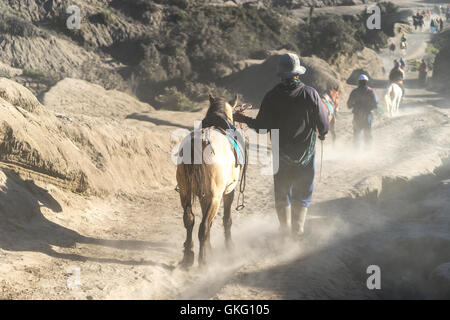 BROMO, Indonesien - 23. Juli 2016: Tourist Reitpferd am Mount Bromo, der am meisten besuchten aktiven Vulkan in Ostjava, Indonesien. Stockfoto