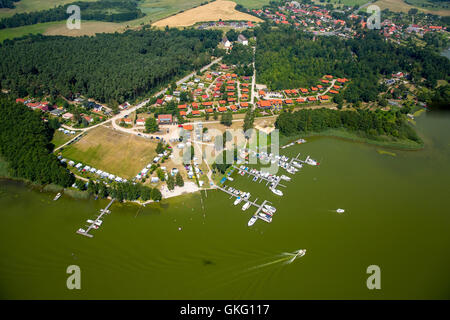 Luftaufnahme, Hütten an den Banken, Jabelscher See, Stegen, grünes Wasser, Jabel, Mecklenburgische Seenplatte Landschaft, Mecklenburg Stockfoto