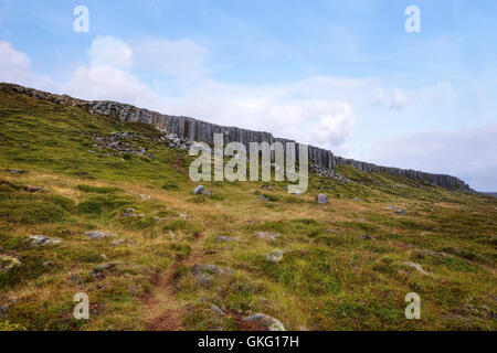 Gerduberg Klippen, Snaefellsnes, Island Stockfoto
