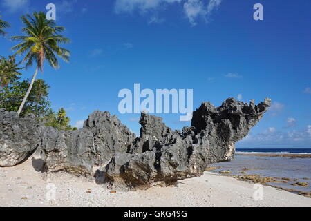 Erodiert Felsformation am tropischen Strand, Atoll Tikehau, Tuamotu-Archipel, Französisch-Polynesien, Pazifik Stockfoto