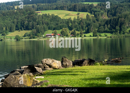 See-Großer Alpsee bei Bühl, Immenstadt Im Allgäu, Oberallgäu, Bayern, Deutschland Stockfoto