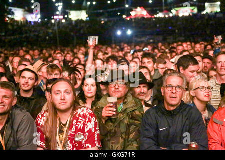 Brecon Beacons, Wales, UK. 19. August 2016. Das Publikum beim 2016 Grüner Mann Festival in den Brecon Beacons in South Wales Credit: Roger Garfield/Alamy Live News Stockfoto