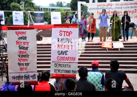 Dhaka, Bangladesch. 20. August 2016. Bangladeshi Demonstranten halten Plakate und ein Tiger-Bildnis während einer Protestaktion fordern die Abschaffung der vorgeschlagenen Rampal Kraftwerk wie sie bei der zentralen Shaheed Minar in Dhaka, Bangladesch sammeln. Am 20. August 2016. Umweltschützer haben protestieren gegen das Kraftwerk, das vorgeschlagen wurde gemeinsam von Bangladesch und Indien gebaut werden weil es Nähe zu der Sundarbans-Region ist Heimat der weltweit einzige Bevölkerung von Mangroven Wald Tiger. Plakate in Bangla lesen, "Stop Rampal Project". Bildnachweis: Mamunur Rashid/Alamy Live-Nachrichten Stockfoto