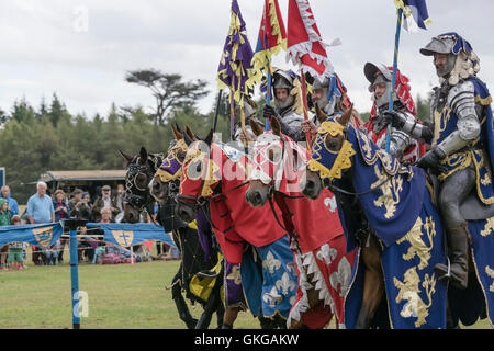 Ritterturnier mit den Rittern von Arkley im Blenheim Palace Stockfoto