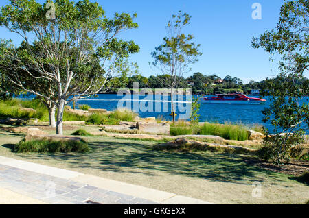 Sydney, Australien. 21. August 2016. Barangaroo Reserve genießt seit Eröffnung des ersten Geburtstags-Party. Die Geburtstags-Party enthalten viele Activetivies / Leistungen einschließlich eine Willkommen an Land, Sydneys Childrens Chior Leistung, wechselnde Musikdarbietungen, Orientierungslauf, pop-up-Naturspielplatz und Bildhauerei am Barangaroo. Abgebildet ist die Barangaroo Reserve-Bereich. Bildnachweis: Mjmediabox / Alamy Live News Stockfoto