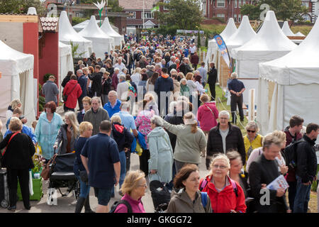 Southport Flower Show, Merseyside, England. 21. August 2016: wie das gute Wetter über der Southport Flower Show zurück, die Massen strömen in denn der heutigen großen Ausverkauf.  Die fantastischen vier Tag Gartenbau Event geht zu Ende am späten Nachmittag mit Schnäppchen in Hülle und Fülle zu gewinnen.  Vom Handwerk waren und Kleidung zu den exotischsten Pflanzen ist es wirklich für jeden etwas dabei.  Kinder werden von "Sonny & Regenbogen" unterhalten, wie Eltern prosecco in der Sonne genießen können.  Bildnachweis: Cernan Elias/Alamy Live-Nachrichten Stockfoto